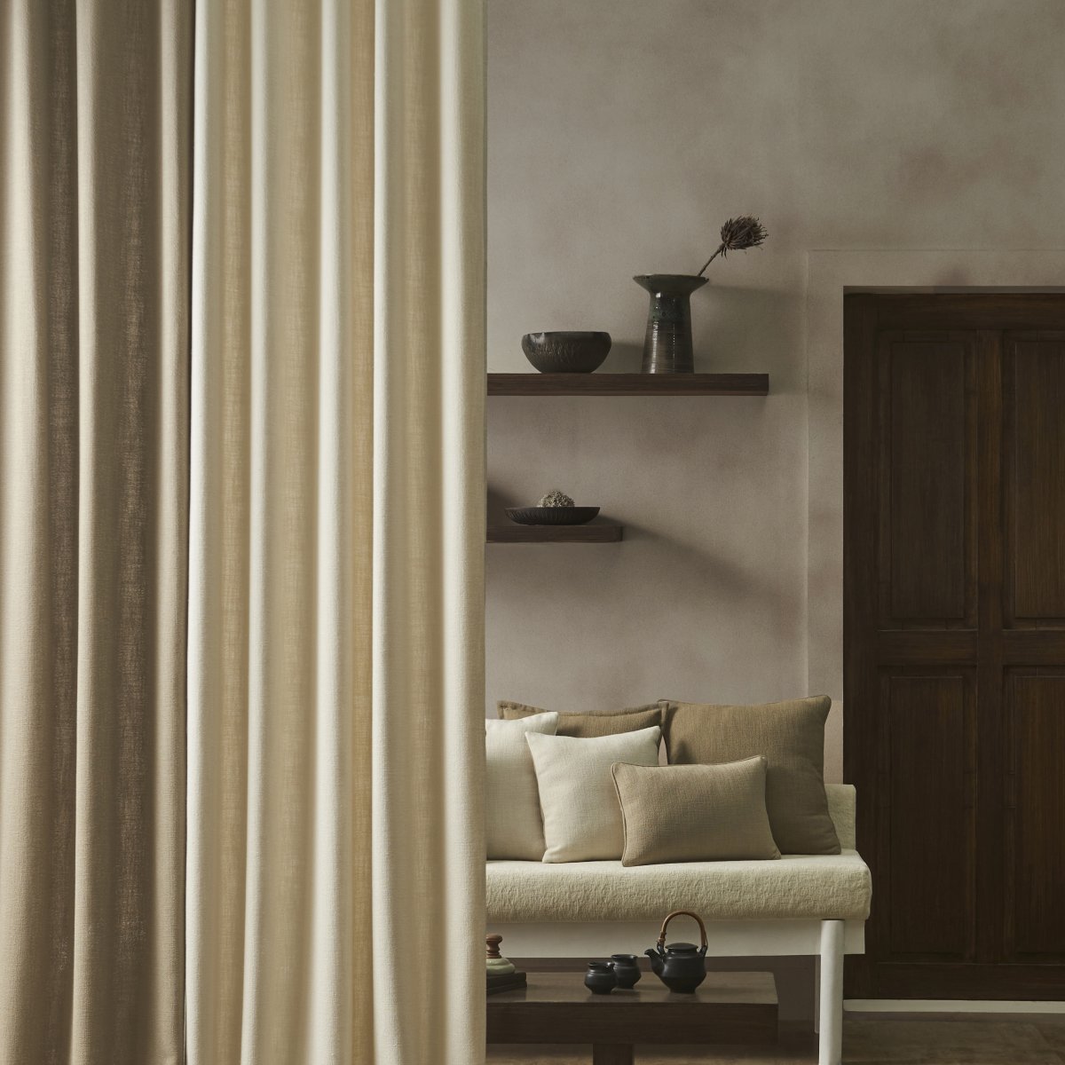 mainshot_1_214120_rewild